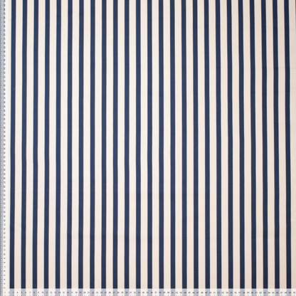 Striped Stretch Cotton in Blue and White